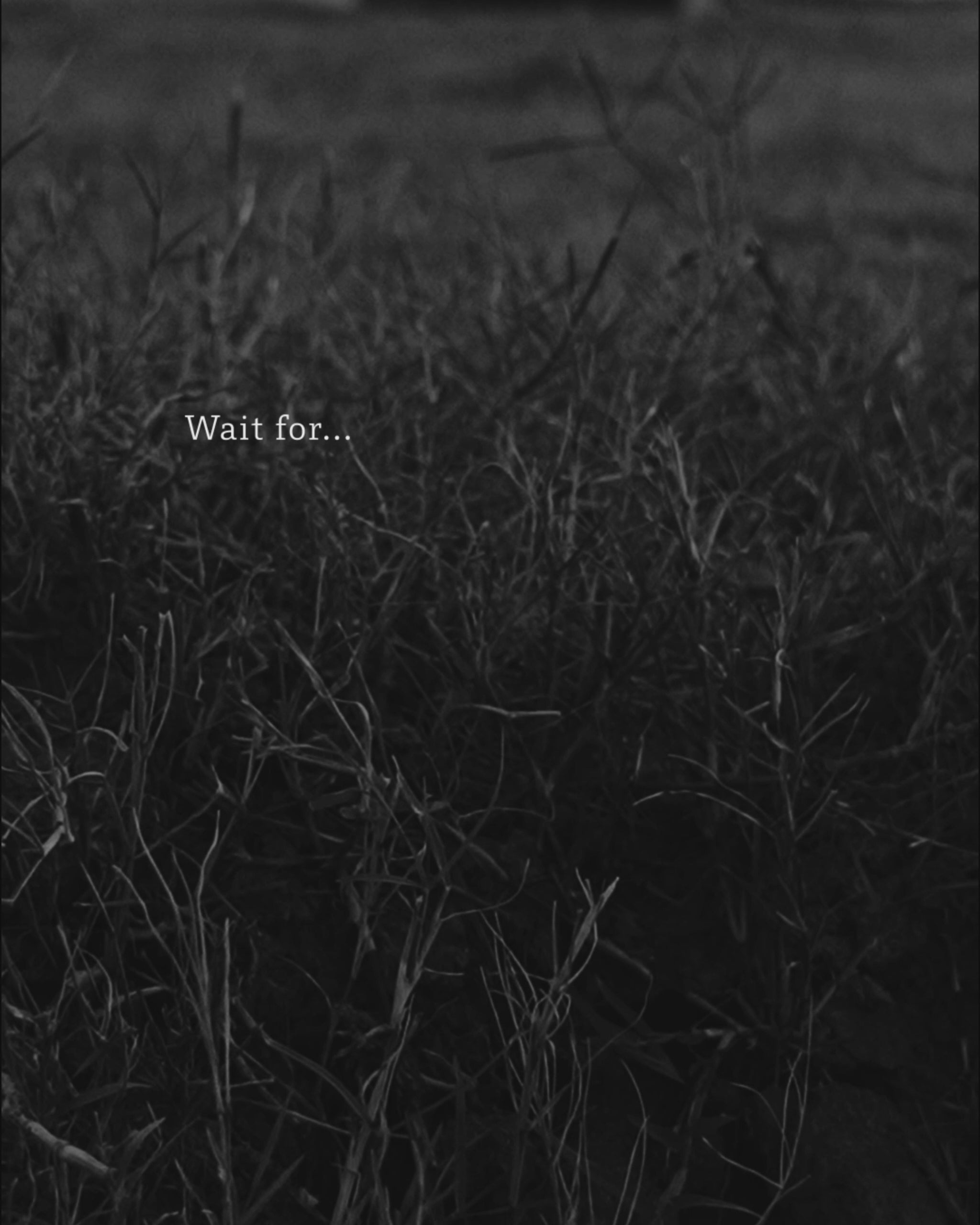 HALO SE Series 4.5インチ LED Pod Lights with Red and White DRL